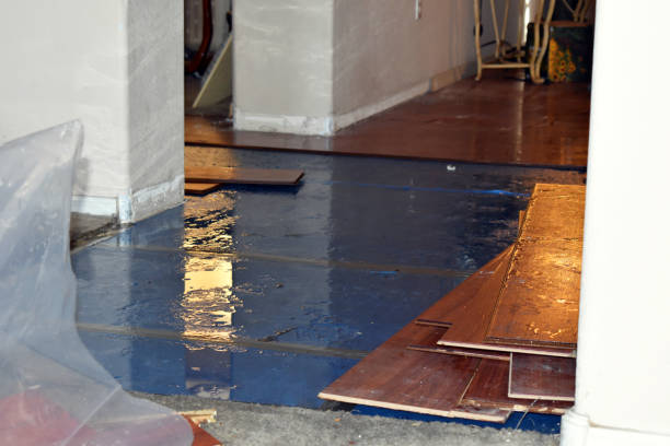 Professional Basement Water Removal technician working in Horse Shoe, NC