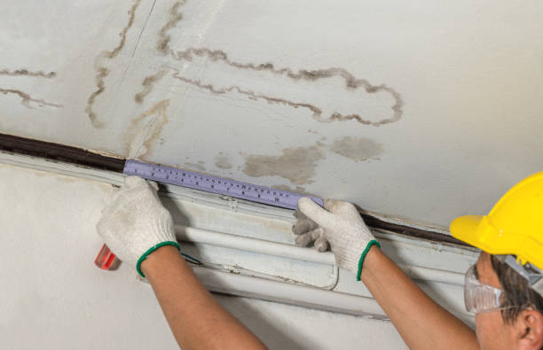 Reliable Basement Water Removal contractor in Horse Shoe, NC by Water Damage Irwin